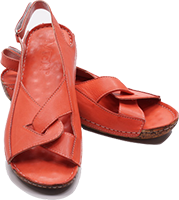 MioN Lady Shoes